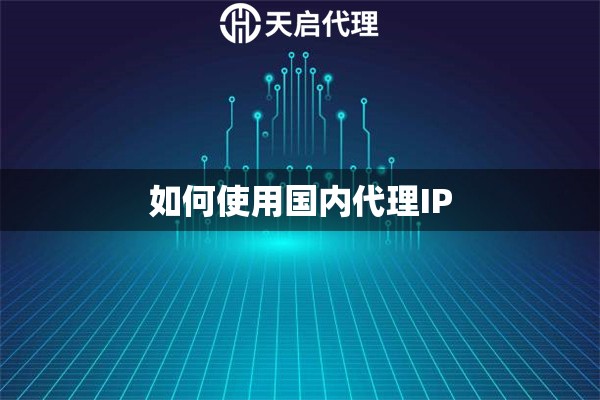 如何使用国内代理IP