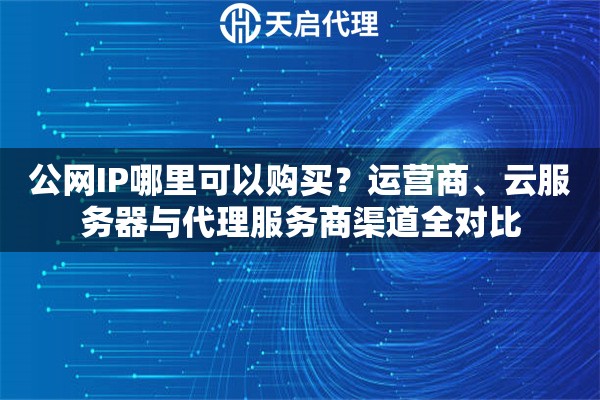 公网IP哪里可以购买？运营商、云服务器与代理服务商渠道全对比