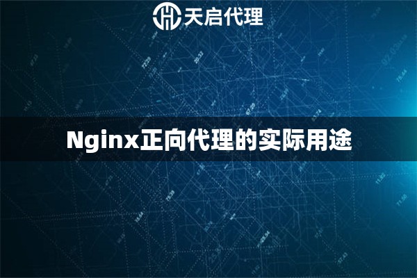 Nginx正向代理的实际用途