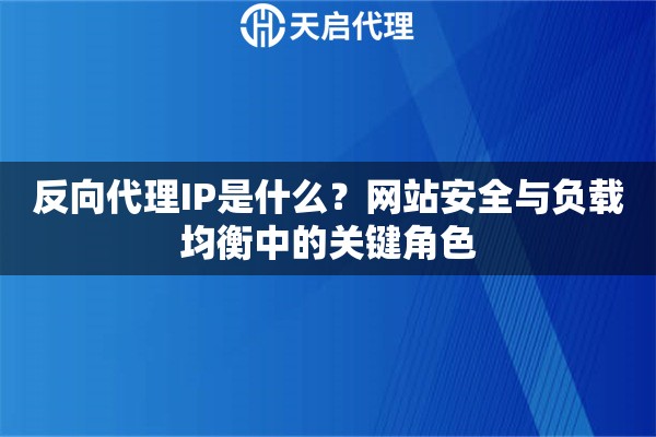 反向代理IP是什么？网站安全与负载均衡中的关键角色