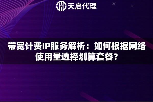 带宽计费IP服务解析：如何根据网络使用量选择划算套餐？