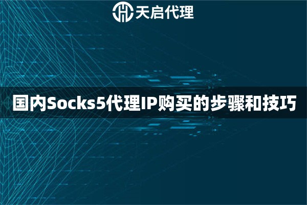 国内Socks5代理IP购买的步骤和技巧