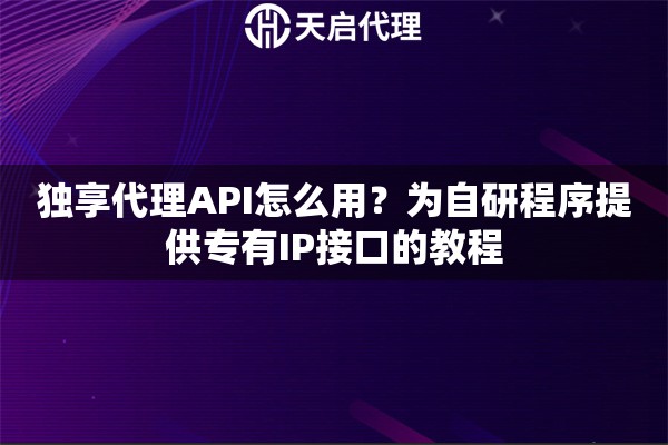 独享代理API怎么用？为自研程序提供专有IP接口的教程