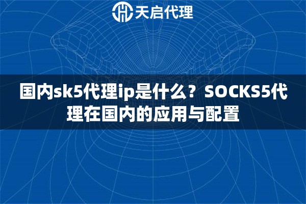 国内sk5代理ip是什么？SOCKS5代理在国内的应用与配置