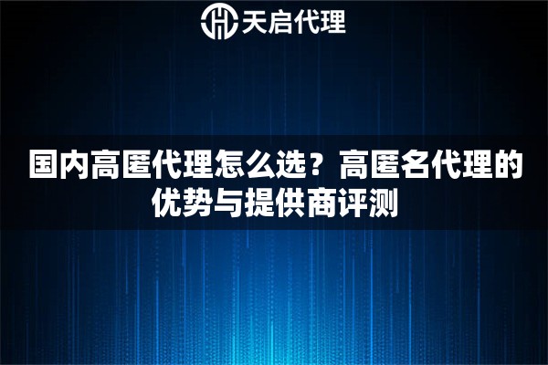 国内高匿代理怎么选？高匿名代理的优势与提供商评测