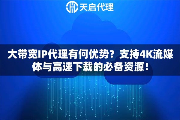 大带宽IP代理有何优势？支持4K流媒体与高速下载的必备资源！