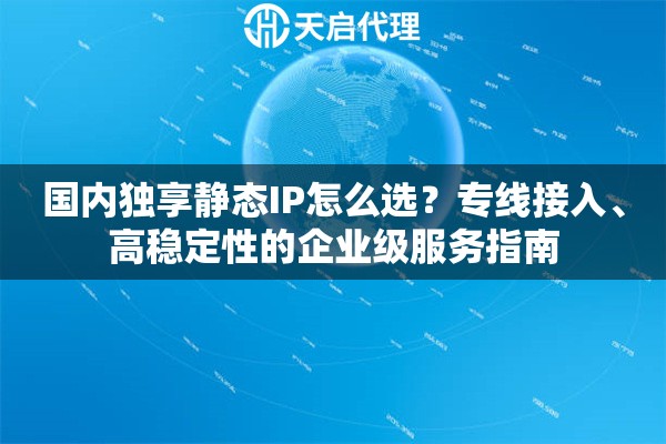 国内独享静态IP怎么选？专线接入、高稳定性的企业级服务指南