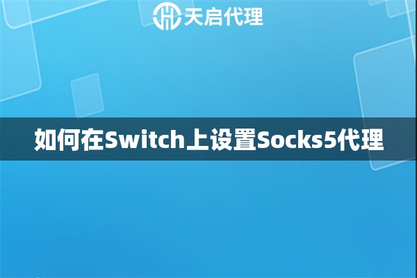 如何在Switch上设置Socks5代理