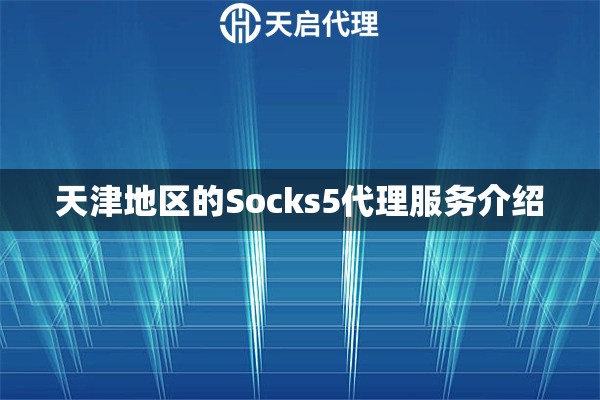 天津地区的Socks5代理服务介绍