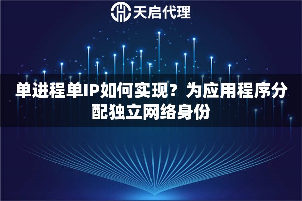 单进程单IP如何实现？为应用程序分配独立网络身份