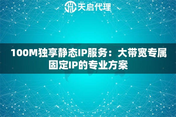 100M独享静态IP服务：大带宽专属固定IP的专业方案