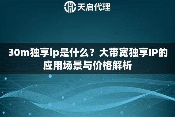 30m独享ip是什么？大带宽独享IP的应用场景与价格解析