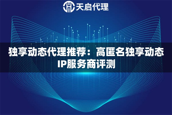 独享动态代理推荐：高匿名独享动态IP服务商评测