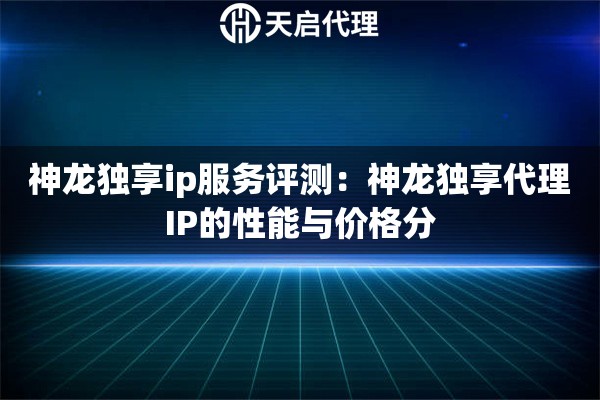 神龙独享ip服务评测：神龙独享代理IP的性能与价格分