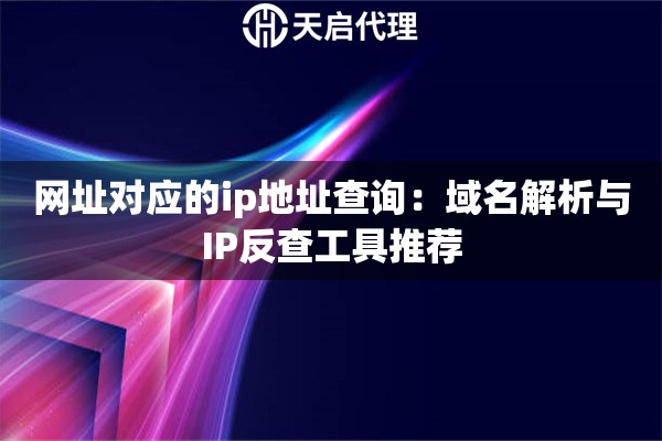 网址对应的ip地址查询：域名解析与IP反查工具推荐