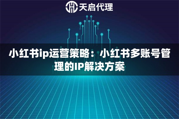 小红书ip运营策略：小红书多账号管理的IP解决方案