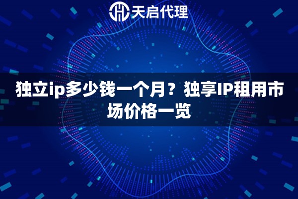 独立ip多少钱一个月？独享IP租用市场价格一览