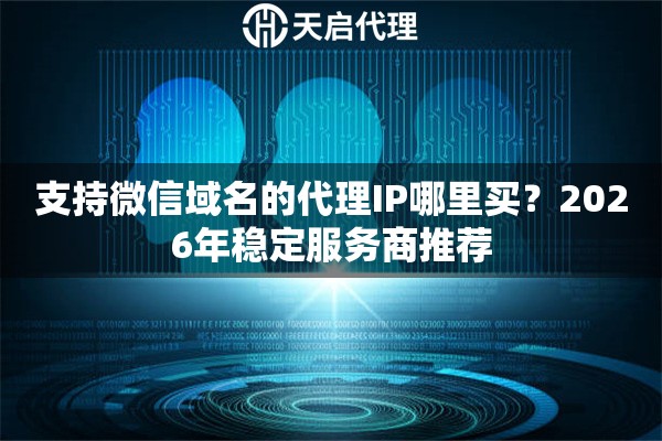 支持微信域名的代理IP哪里买？2026年稳定服务商推荐