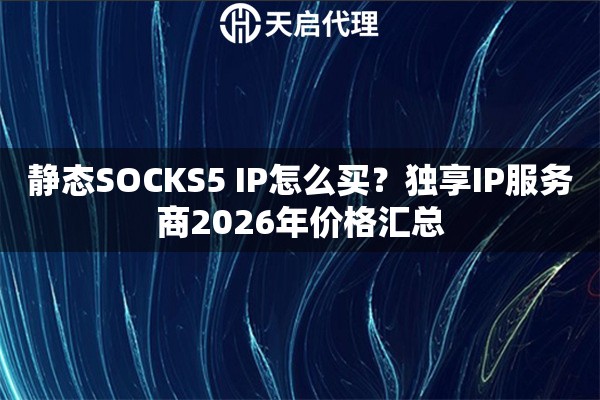 静态SOCKS5 IP怎么买？独享IP服务商2026年价格汇总