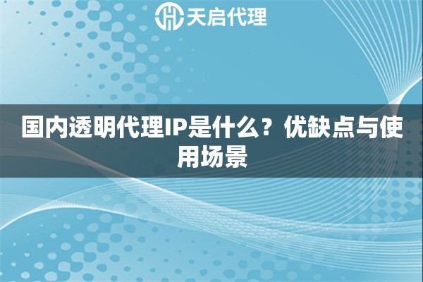 国内透明代理IP是什么？优缺点与使用场景