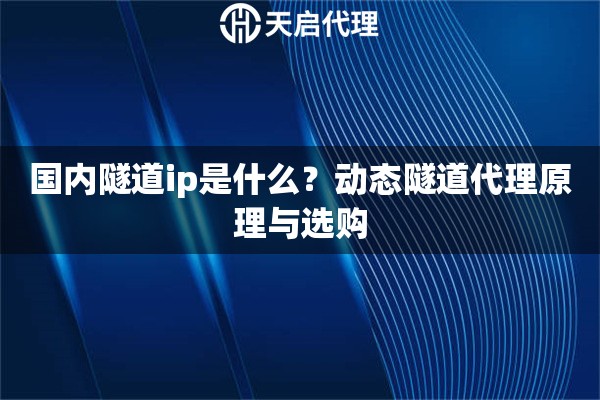 国内隧道ip是什么？动态隧道代理原理与选购