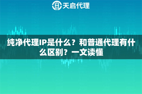 纯净代理IP是什么?和普通代理有什么区别?一文读懂 纯净代理IP是什么?和普通代理有什么区别?一文读懂