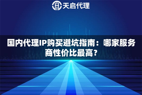 国内代理IP购买避坑指南：哪家服务商性价比最高？