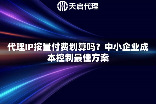 代理IP按量付费划算吗?中小企业成本控制最佳方案 代理IP按量付费划算吗?中小企业成本控制最佳方案