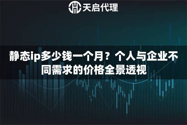 静态ip多少钱一个月？个人与企业不同需求的价格全景透视