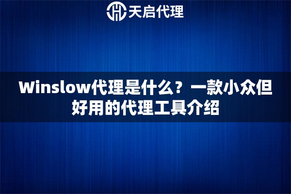Winslow代理是什么？一款小众但好用的代理工具介绍