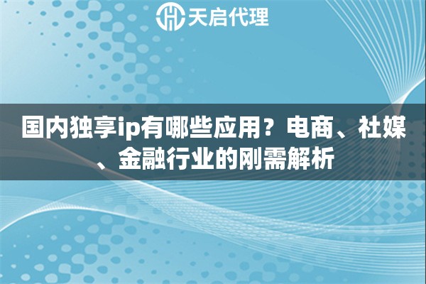国内独享ip有哪些应用？电商、社媒、金融行业的刚需解析