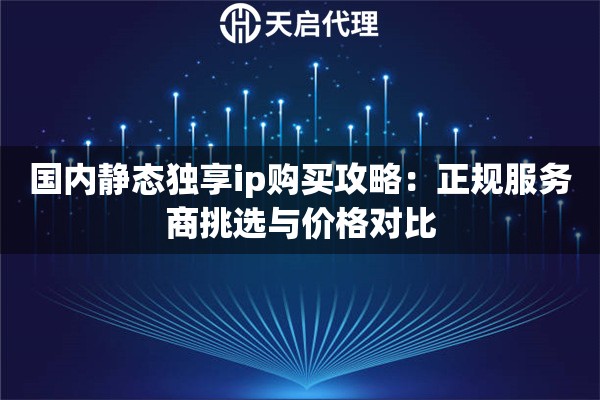 国内静态独享ip购买攻略:正规服务商挑选与价格对比 国内静态独享ip购买攻略:正规服务商挑选与价格对比