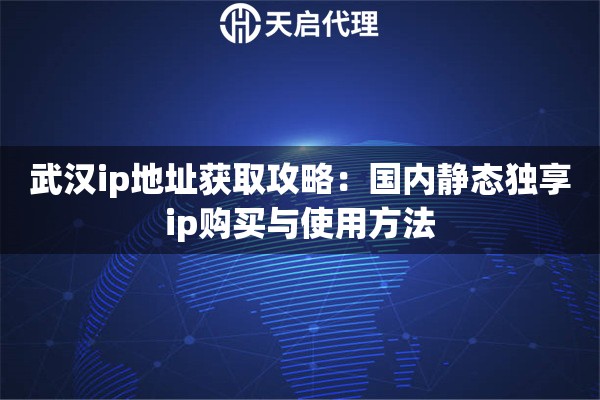武汉ip地址获取攻略:国内静态独享ip购买与使用方法 武汉ip地址获取攻略:国内静态独享ip购买与使用方法