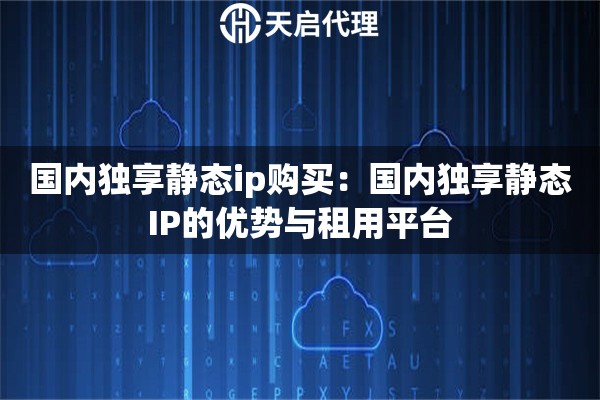国内独享静态ip购买：国内独享静态IP的优势与租用平台