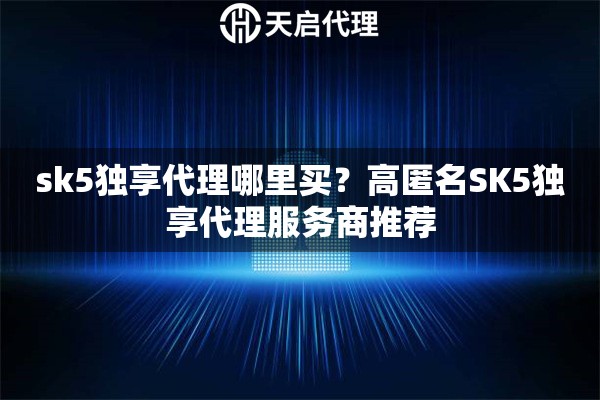 sk5独享代理哪里买？高匿名SK5独享代理服务商推荐