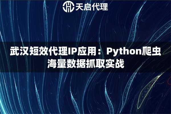 武汉短效代理IP应用:Python爬虫海量数据抓取实战 武汉短效代理IP应用:Python爬虫海量数据抓取实战