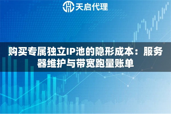 购买专属独立IP池的隐形成本：服务器维护与带宽跑量账单