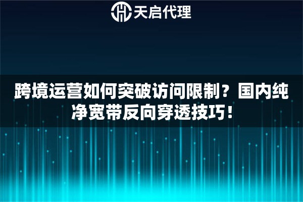跨境运营如何突破访问限制？国内纯净宽带反向穿透技巧！