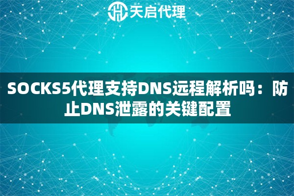SOCKS5代理支持DNS远程解析吗:防止DNS泄露的关键配置 SOCKS5代理支持DNS远程解析吗:防止DNS泄露的关键配置