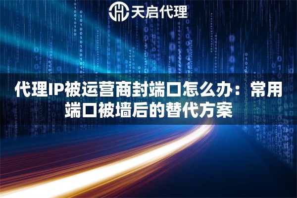 代理IP被运营商封端口怎么办：常用端口被墙后的替代方案