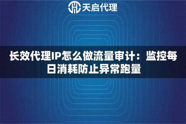 长效代理IP怎么做流量审计：监控每日消耗防止异常跑量