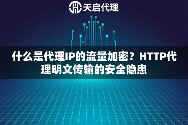 什么是代理IP的流量加密?HTTP代理明文传输的安全隐患 什么是代理IP的流量加密?HTTP代理明文传输的安全隐患