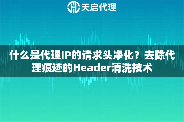 什么是代理IP的请求头净化?去除代理痕迹的Header清洗技术 什么是代理IP的请求头净化?去除代理痕迹的Header清洗技术