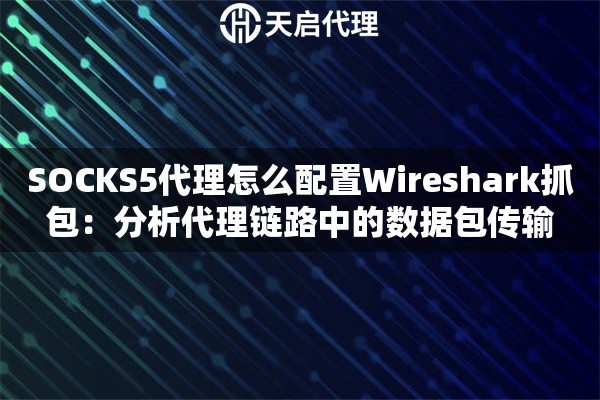 SOCKS5代理怎么配置Wireshark抓包:分析代理链路中的数据包传输 SOCKS5代理怎么配置Wireshark抓包:分析代理链路中的数据包传输