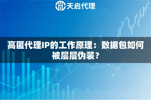 高匿代理IP的工作原理：数据包如何被层层伪装？