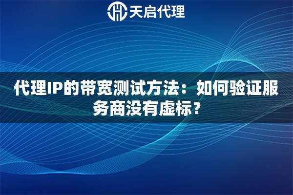 代理IP的带宽测试方法：如何验证服务商没有虚标？