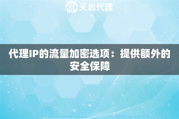 代理IP的流量加密选项：提供额外的安全保障