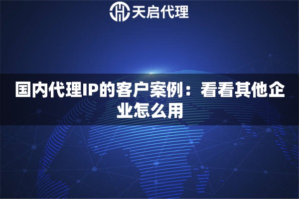 国内代理IP的客户案例:看看其他企业怎么用 国内代理IP的客户案例:看看其他企业怎么用