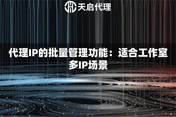 代理IP的批量管理功能：适合工作室多IP场景