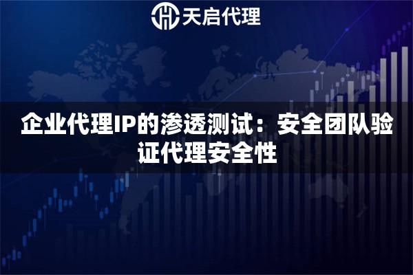 企业代理IP的渗透测试：安全团队验证代理安全性